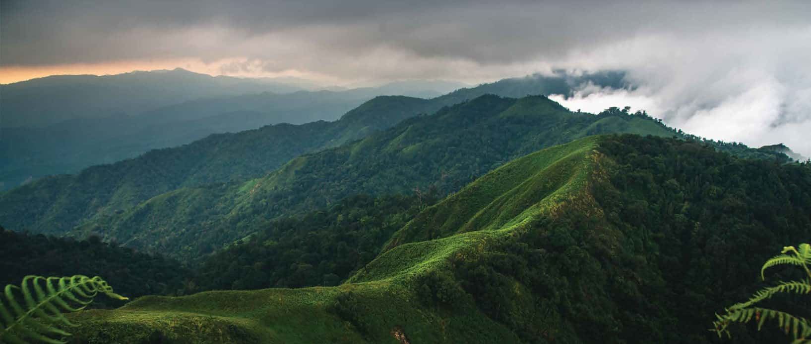 The Hillfront at Mulund Hills
